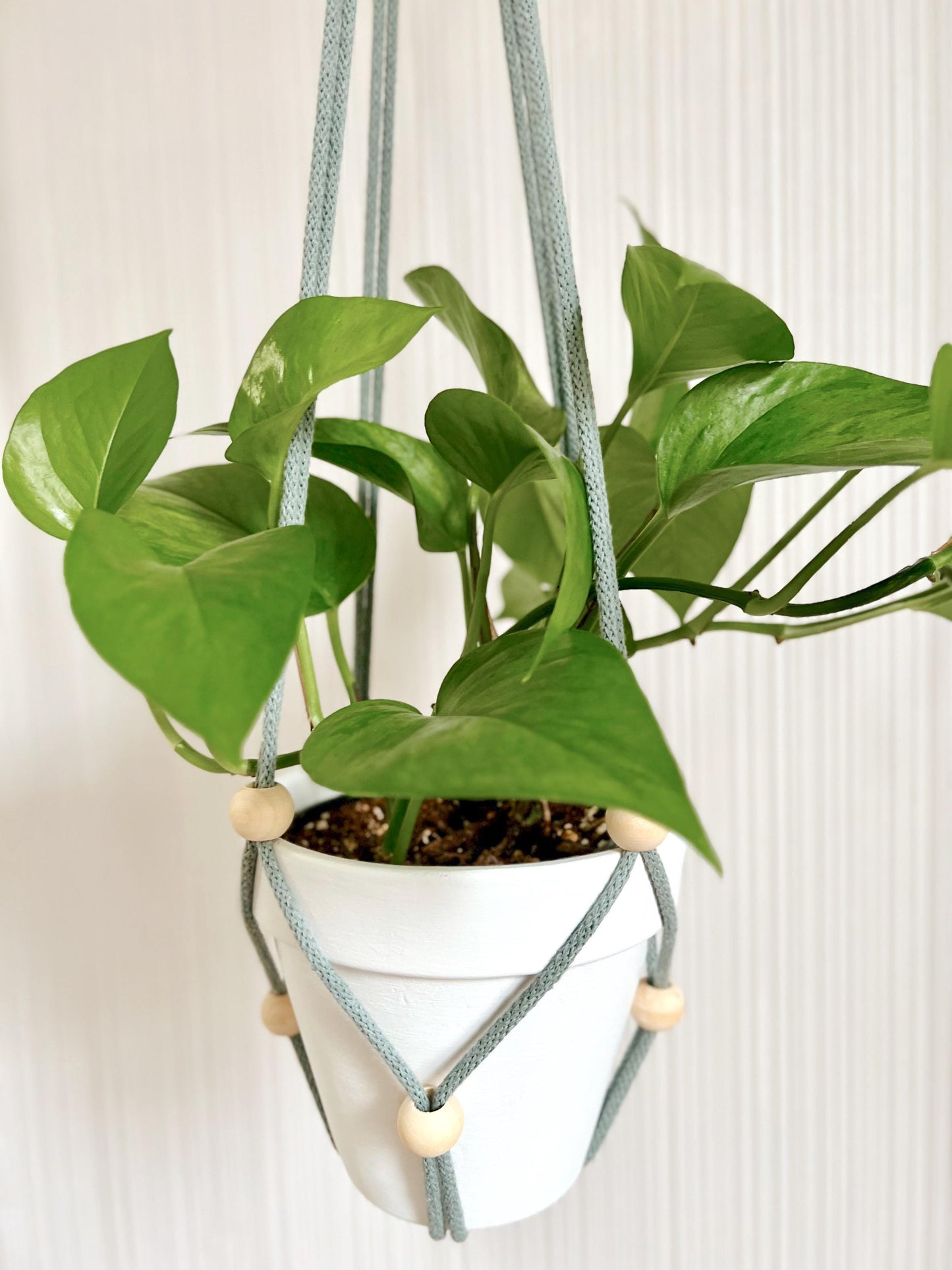 DIY Plant Hanger Kit with Optional Pot - Simple Minimalist Design with Video Tutorial - No Macrame Experience Needed - 30+ Colors
