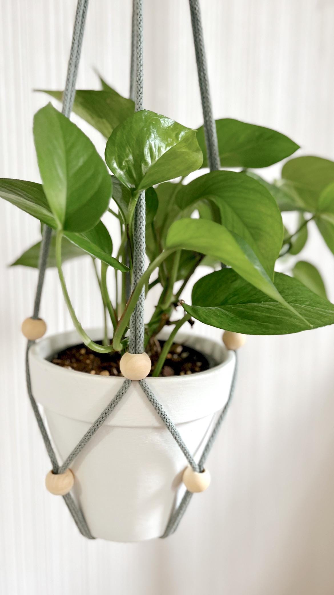 Macrame PATTERN - Written PDF, Video Tutorial and Knot Guide Included, DIY plant hanger, Instant Digital Download