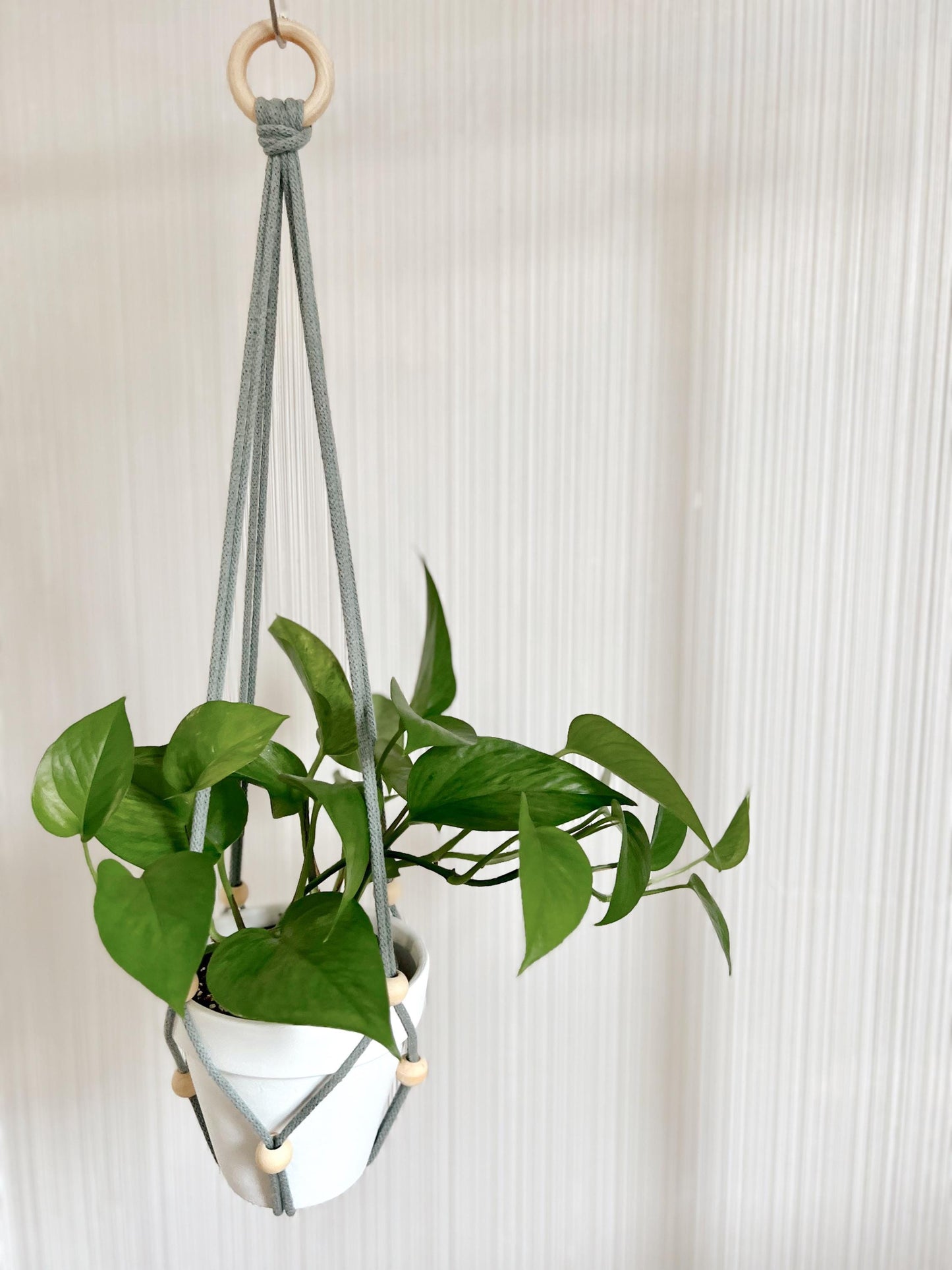 DIY Plant Hanger Kit with Optional Pot - Simple Minimalist Design with Video Tutorial - No Macrame Experience Needed - 30+ Colors