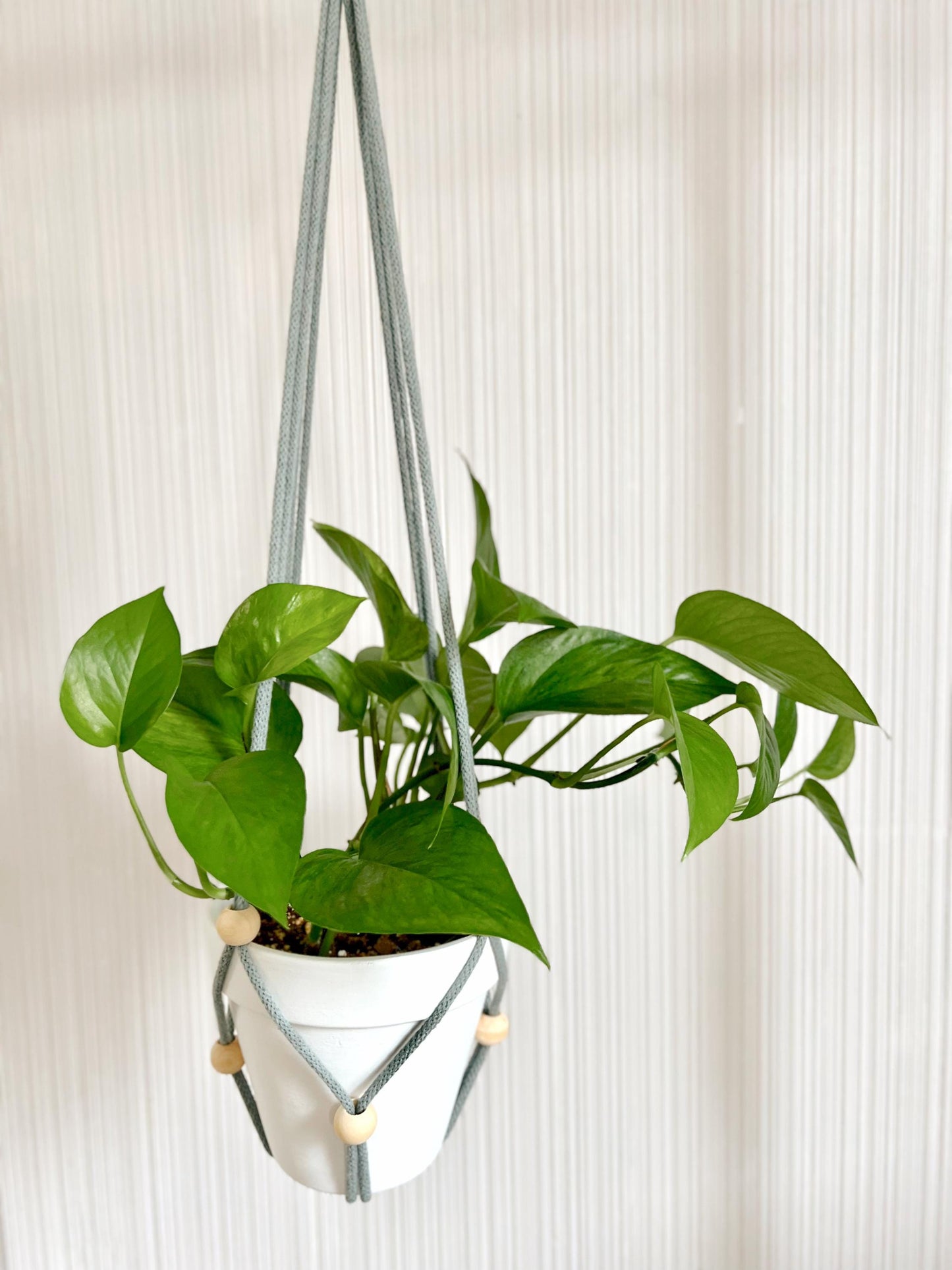 Macrame PATTERN - Written PDF, Video Tutorial and Knot Guide Included, DIY plant hanger, Instant Digital Download