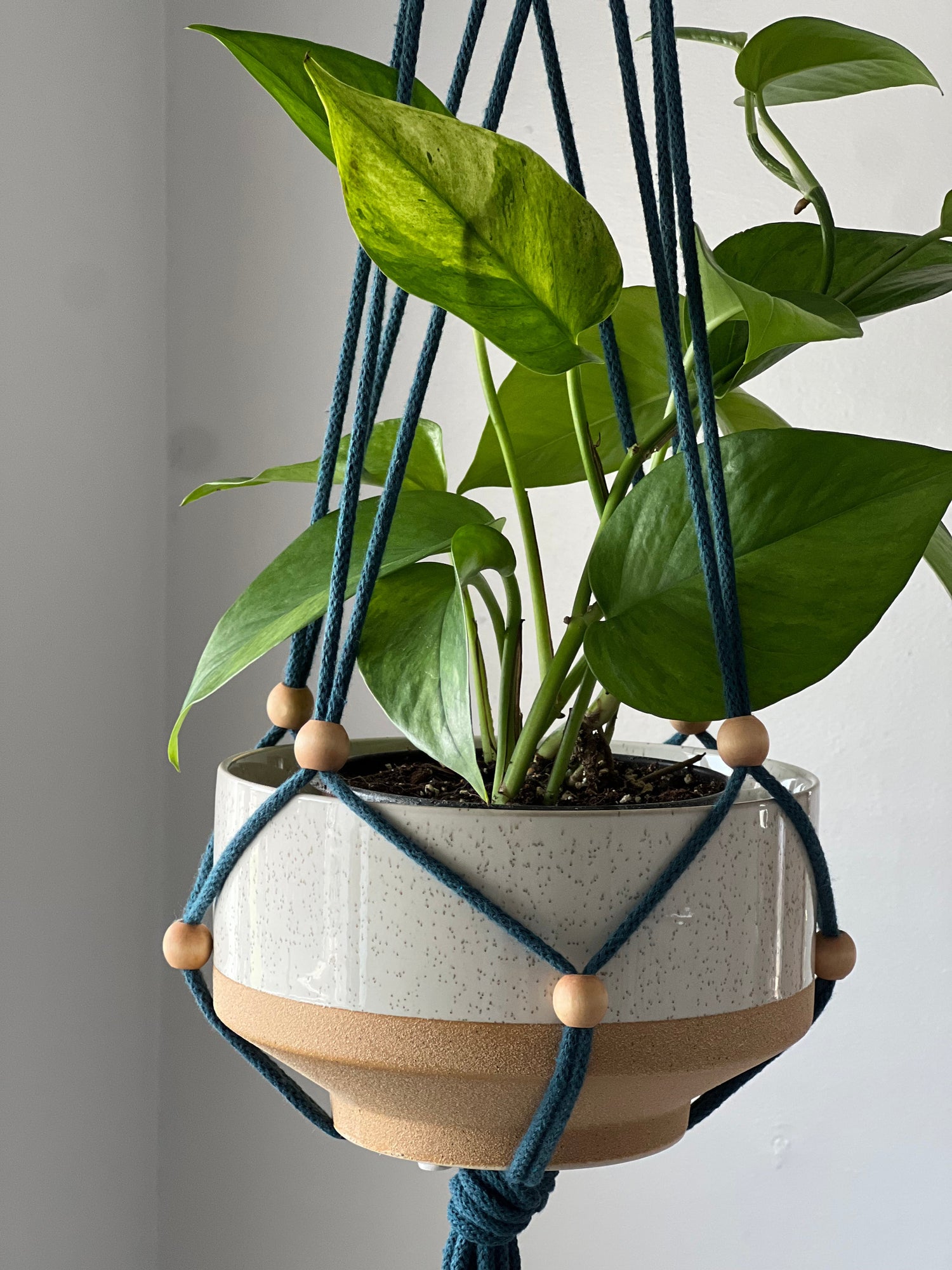 Plant Hangers