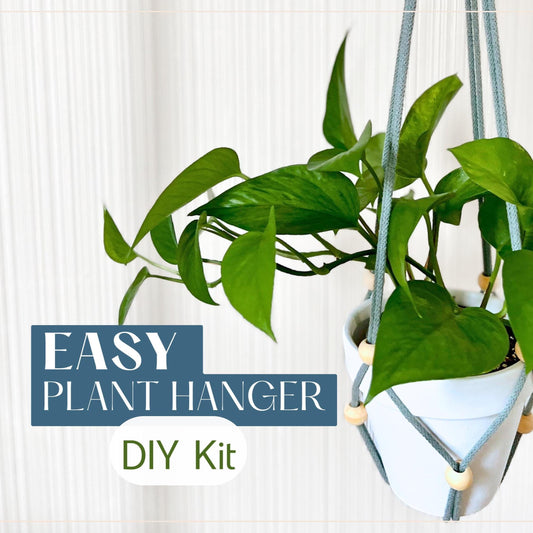 DIY Plant Hanger Kit with Optional Pot - Simple Minimalist Design with Video Tutorial - No Macrame Experience Needed - 30+ Colors