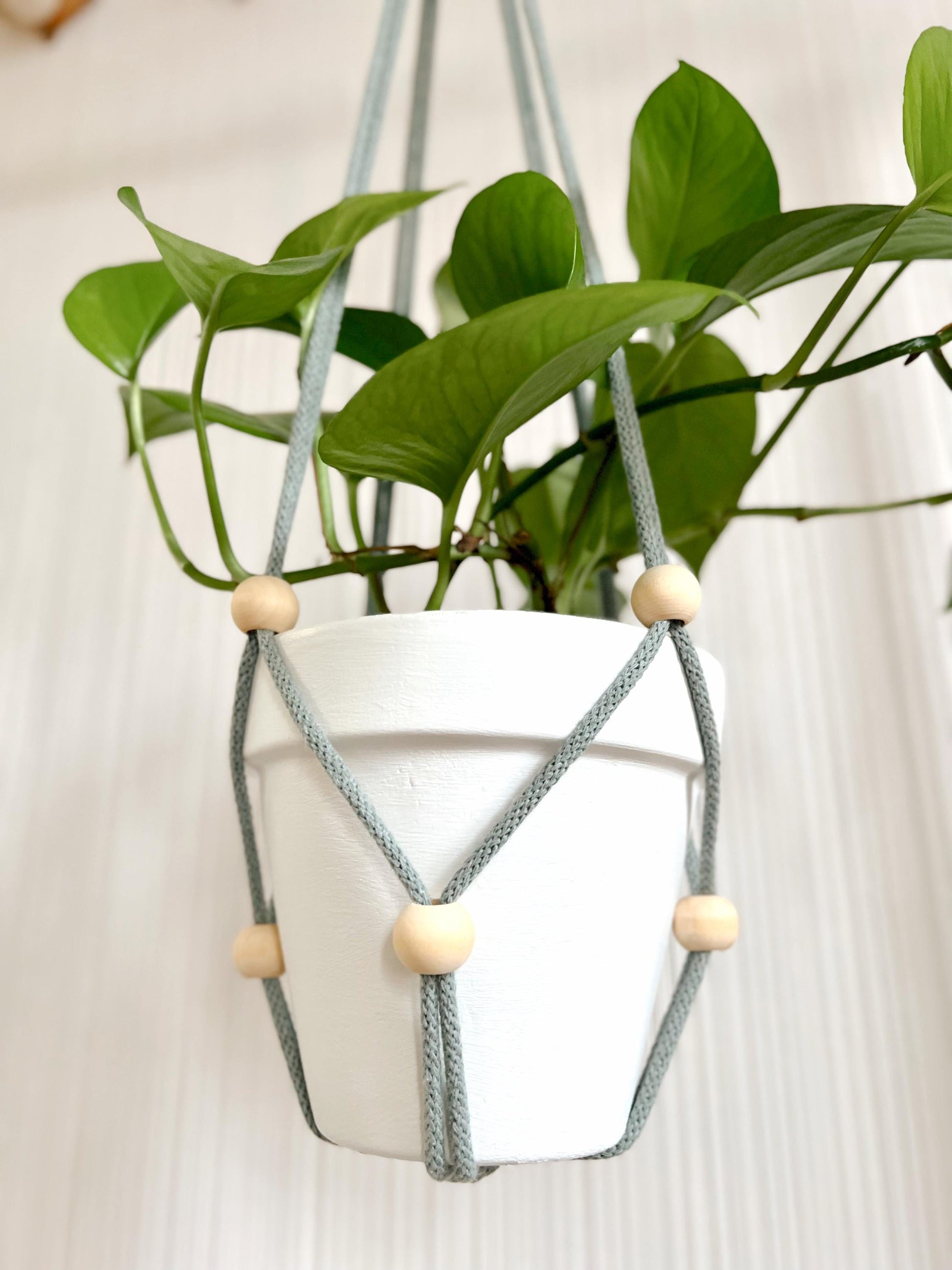 Macrame Plant Hanger PATTERN: DIY Guide, Video Tutorial (PDF Download)